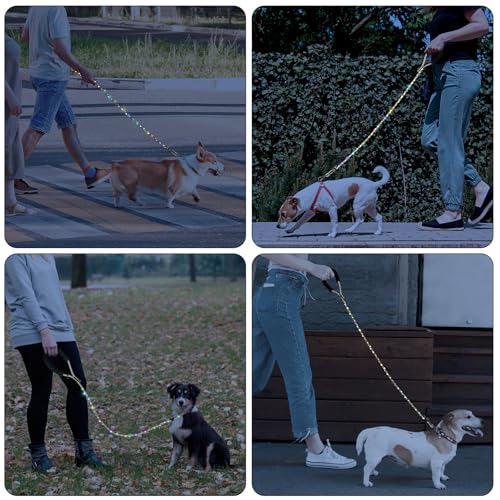 5FT Light up Dog Leash