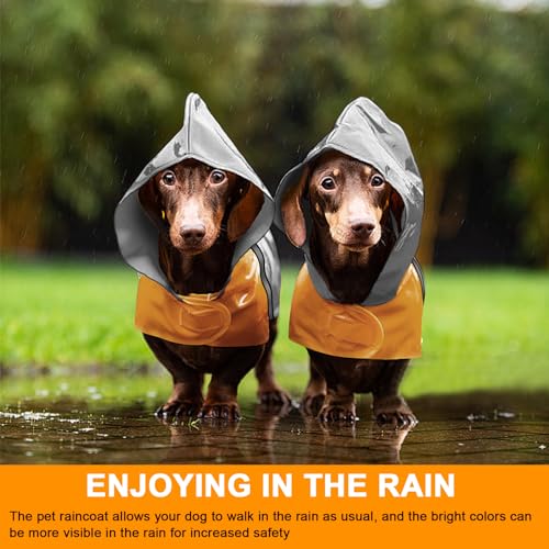 Dog Raincoat with Reflective Strip (M / Grey)