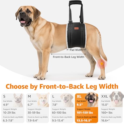 Dog Lift Harness for Large Dogs Hind Leg Support for Weak Rear Legs (Black / X-Large)