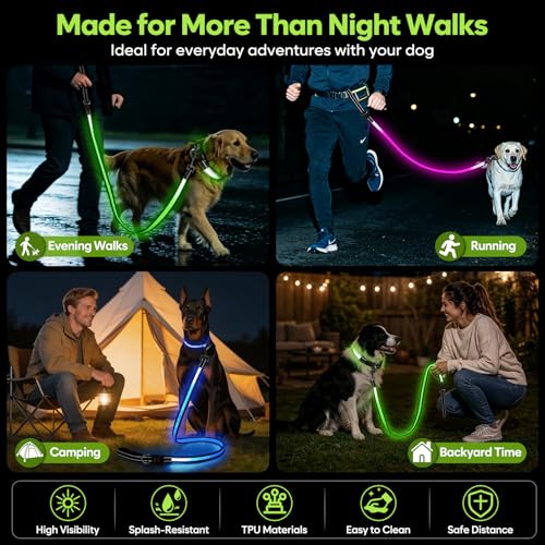5 Ft LED Dog Leash (5 Ft)
