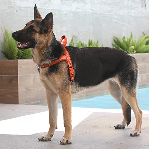 No Pull Dog Harness for Large Dogs (XL: chest 29.5"-39.4" / Orange)
