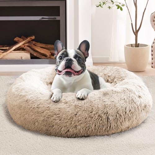 Calming Dog Bed Medium Size Dog (cream brown / 27.0"L x 27.0"W x 8.0"Th)