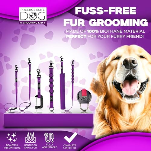 Dog Grooming Loop (Purple)