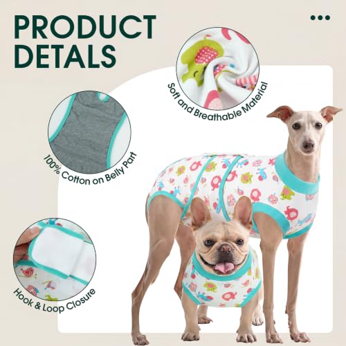Dog Recovery Suit (Mint Green / Large)