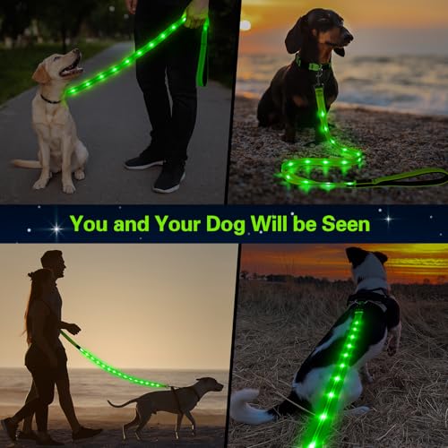 Light Up Dog Leash (Green)