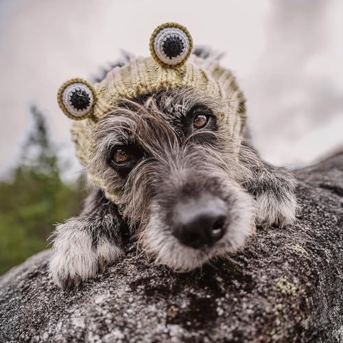 Frog Costume Knit Dog Snood Ear Wrap for Pets (Medium)