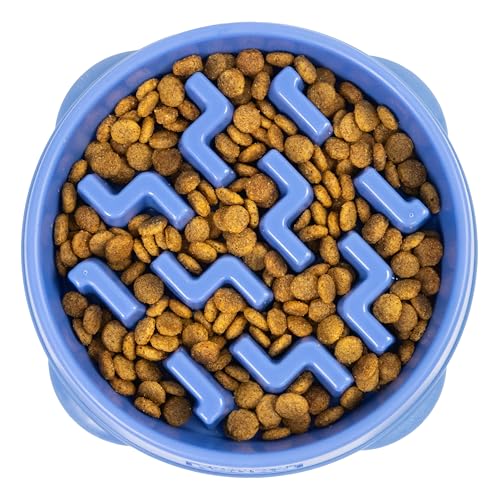 Fun Feeder Slo Bowl (Blue / Medium)