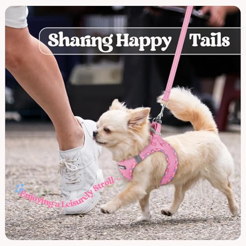 Dog Harness Small Sized and Leash Set (Pink & Plaid Trim / Xxs (chest: 12.4 - 14.2"))