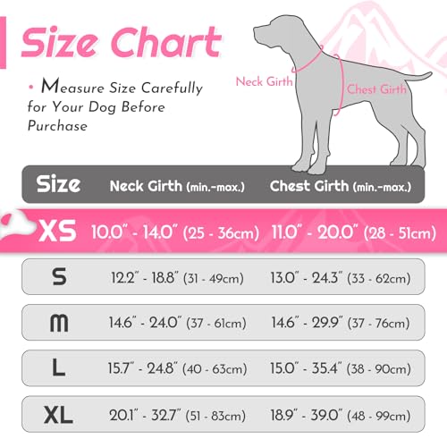 Dog Harness for Small Dogs (X-Small / Pink)