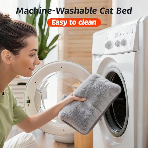 Cat Beds for Indoor Cats