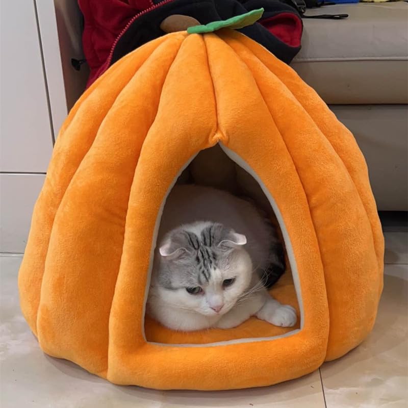 Cat Beds for Indoor Cats (Orange / 22 in)
