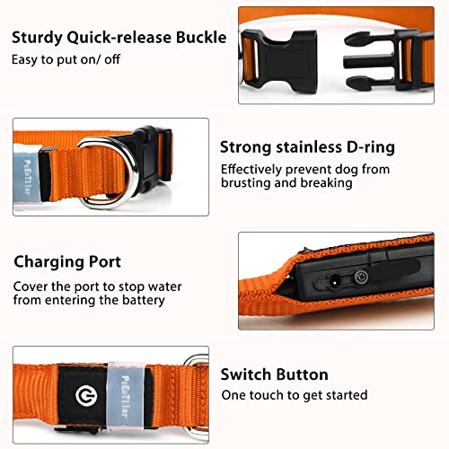 Light up Dog Collar (Orange / M(15 inch-19.7 inch))