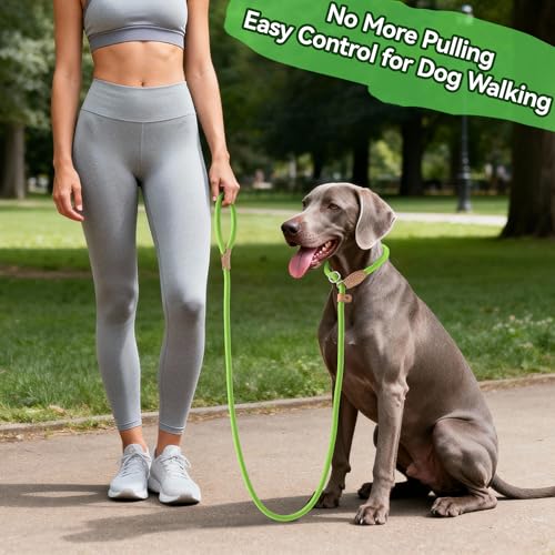 Heavy Duty Slip Lead No Pull Leash 6 (Lime Green / 6 Feet)