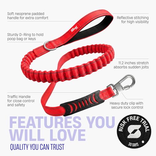 Bungee Dog Leash Shock Absorbing (Red / Small)