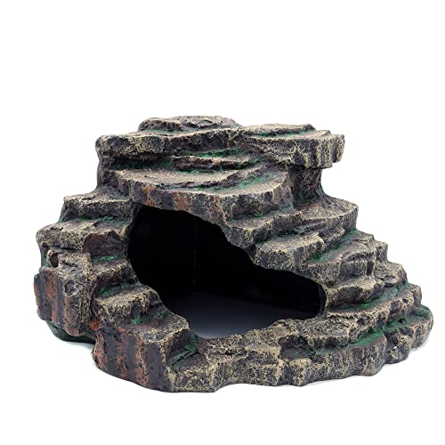 Bearded Dragon Tank Accessories Extra Large Cave