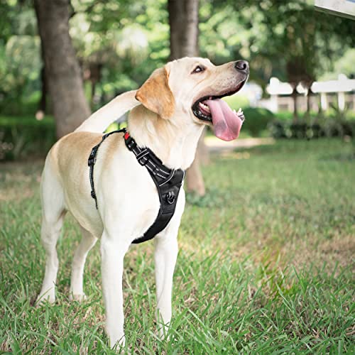 Dog Harness Large (L / Black)