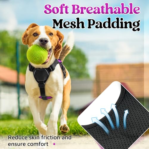 Escape Proof Dog Harness for Small (Purple / Small)