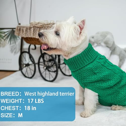 Turtleneck Dog Sweater (X-Small / Green)