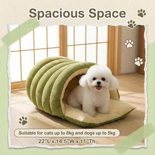 Cat Cave Bed for Indoor (Green)