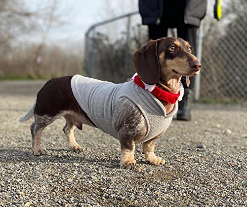 Fleece Vest Dog Sweater (Gray-Yellow / Large (Around 18-lb))