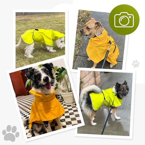 Dog Raincoat Dog Rain Jacket Poncho with Hood and Leash Hole (Neon Green / 3XL(39-50lbs))