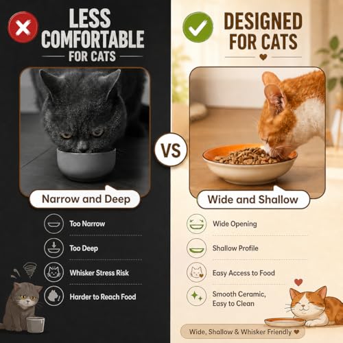 Colorful Ceramic Cat Bowls Set (color 1)