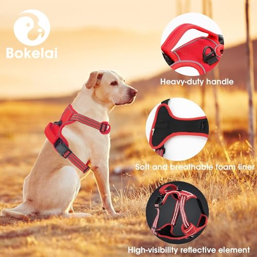 No Pull Dog Harness for Small Dog with Leash (Red / S)