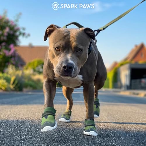 365 Dog Shoes (Green / Size 7: 2.8"x3.15"(W*L) (Pack of 4))