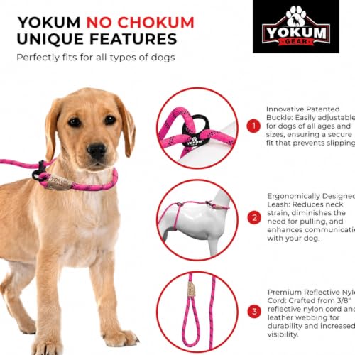12ft No Pull No Choke Leash Long Rope Dog Leash (12 Ft / HOT PINK)