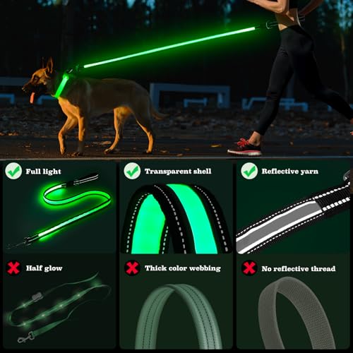 Light Up Dog Leash 5FT Double (5 Ft)