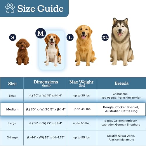 Orthopedic Pet Bed (Gray / Medium)