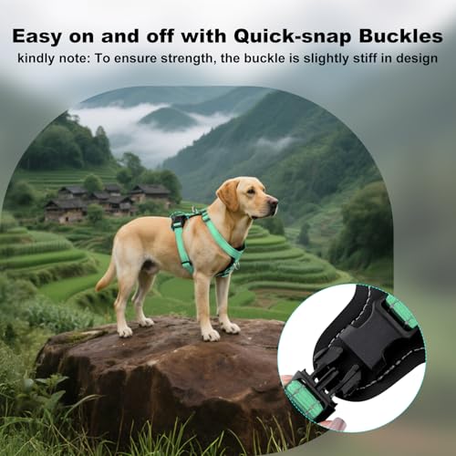 No Pull Dog Harness with Leather Accents (L / Teal)