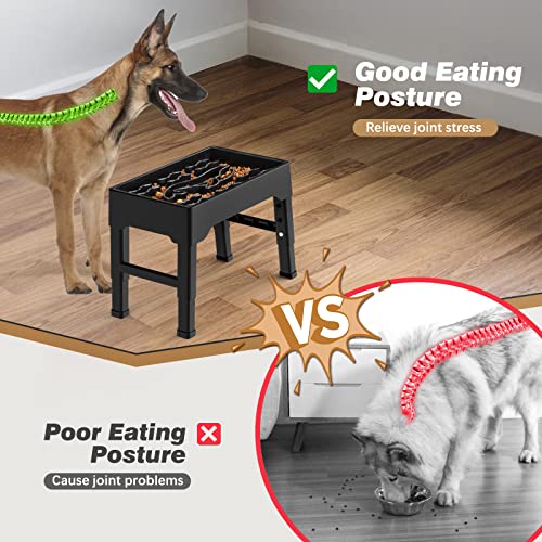 9 Cups Elevated Slow Feeder Dog Bowls 4 Adjustable Heights (Black)