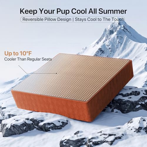 Elevated Dog Car Seat Booster for Small (Brown)