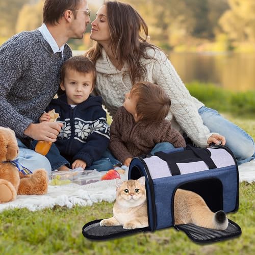 Airline Approved Soft (16.0"L x 10.0"W x 11.0"H / Blue Gray)