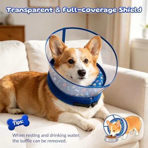 2-in-1 Inflatable Dog Cone Collar, Transparent Anti-Licking Shield with Detachable Soft Padding, Adjustable Elizabethan Collar for Small, Medium, Large Dogs and Cats (L) (（L))