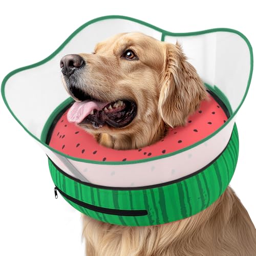 Raised Inflatable Dog Cone Collar to Stop Licking (Watermelon / L(Neck 12"-16"))