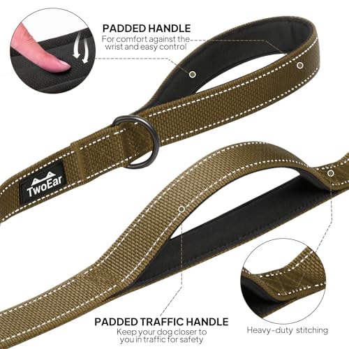 6FT 1IN Heavy Duty Dog Leash for Large Dogs with 2 Padded Handles (Brown / 1 in x 6 ft)