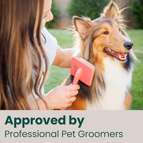 Slicker Brush for Dogs (Coral / Curved Small)