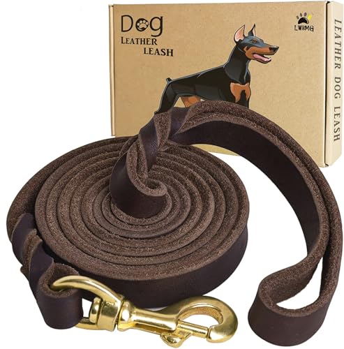 Leather Dog Leash (6 ft x 1 inch / Brown)