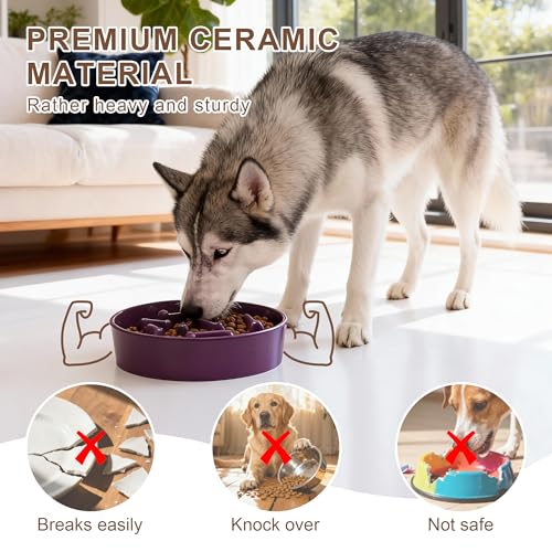Ceramic Slow Feeder Dog Bowls (Purple Bone)