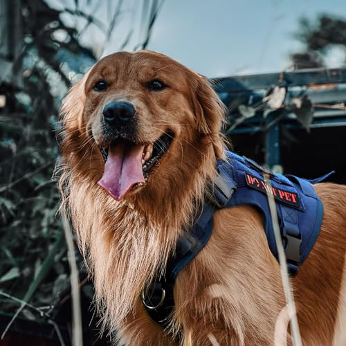Tactical Dog Harness Vest No (X-Large / Blue)