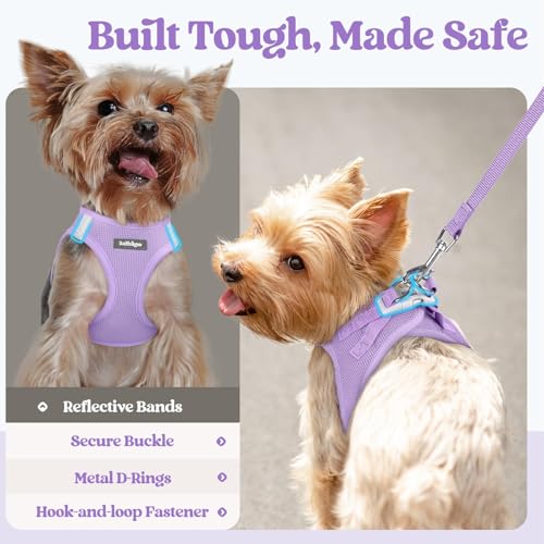 Dog Harness Small Sized and Leash Set (Light Purple / Xxxs (chest: 10.8 - 11.8"))