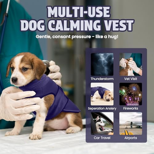 Dog Anxiety Vest and Coat (Midnight Blue / X-Large)