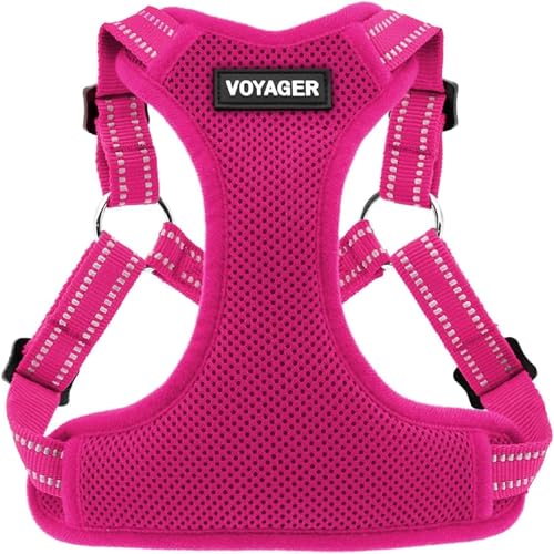 Voyager Step in Flex Adjustable Dog Harness (Harness (Fuchsia) / M)