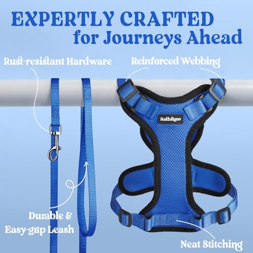 Cat Harness and Leash Set (S / Navy Blue)