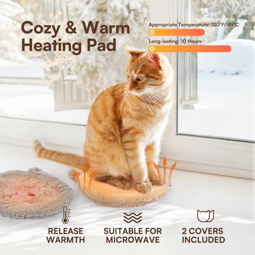 Heated Cat Bed Indoor (Heated Cat Bed Mat)