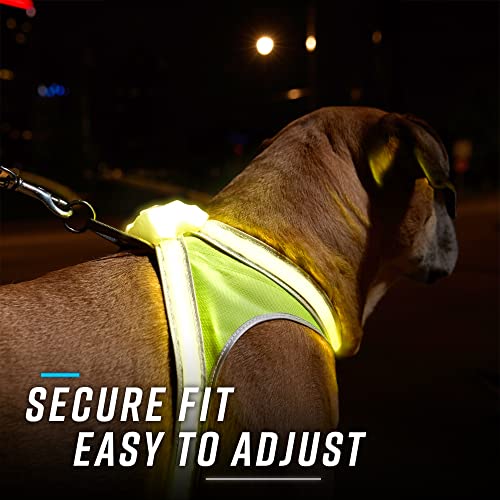 LightHound Light Up Reflective Dog Harness and Leash (X-Large)