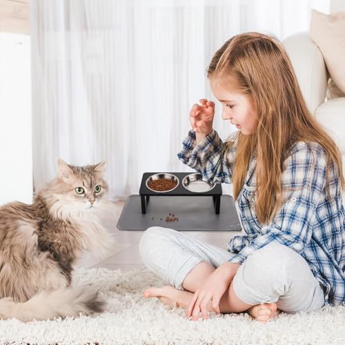 Upgraded Elevated Cat Bowls with Food Mat