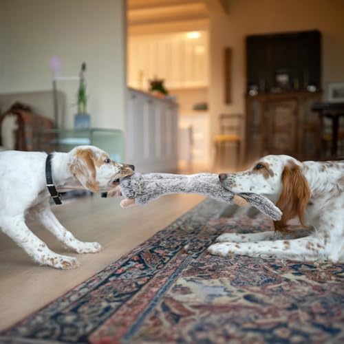 Dog Squeaky Toys No Stuffing 5 Pack (Medium / Fur Plush-5 Pack)